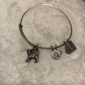 Alex and Ani Silver Cat Monopoly Edition Bangle